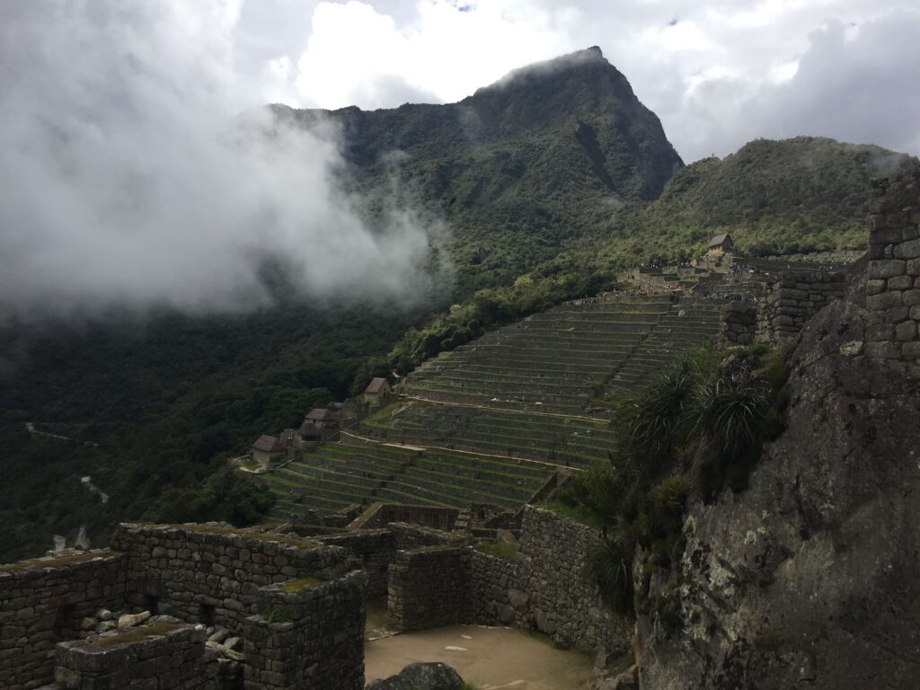 Resilience and Acceptance in the Face of Collapse