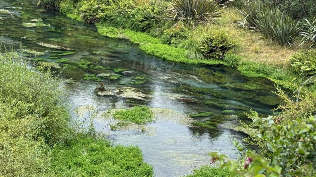 Resilience and Acceptance in the Face of Collapse